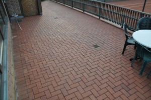 DSC_8408
