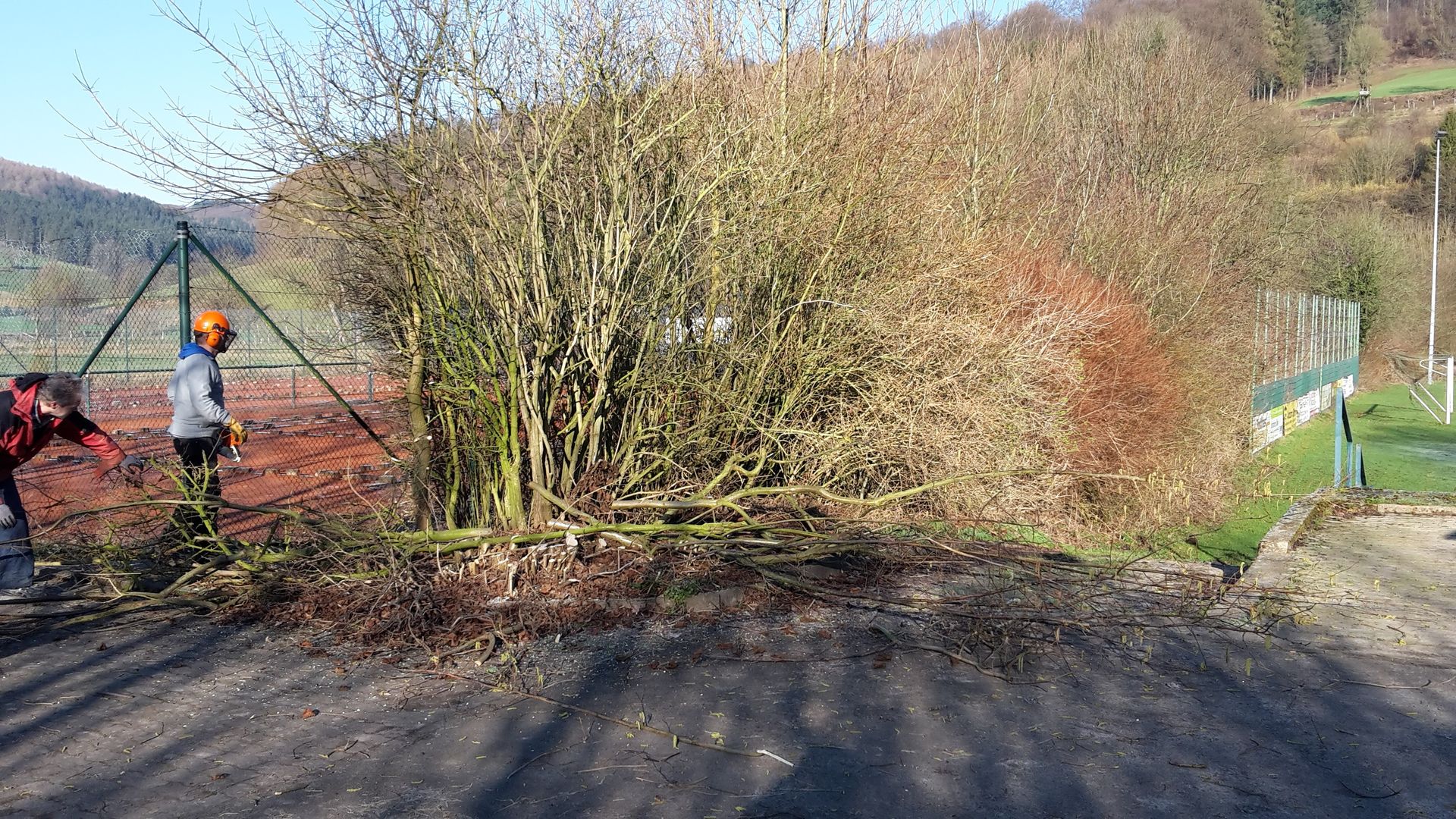 Arbeitseinsätze am Tennisheim; Baum-/ Strauchschnitt, Streichen Arbeitseinsätze am Tennisheim; Baum-/ Strauchschnitt, Streichen