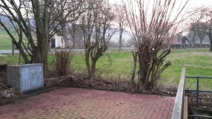 20160219_173523