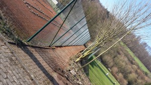 20160326_160942