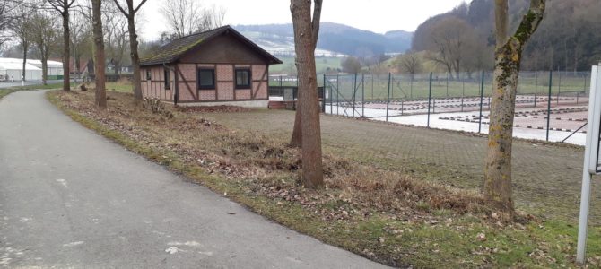 Baum- und Strauchschnitt Aktion Baum- und Strauchschnitt Aktion