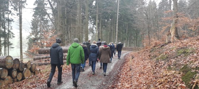 Winterwanderung Kapenberg 02.02.2019